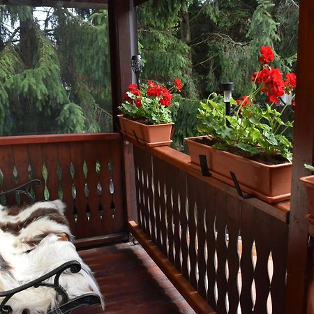 Willa Family House Buşteni Zewnętrze zdjęcie