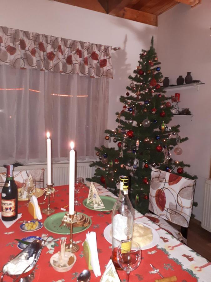 Willa Family House Buşteni Zewnętrze zdjęcie