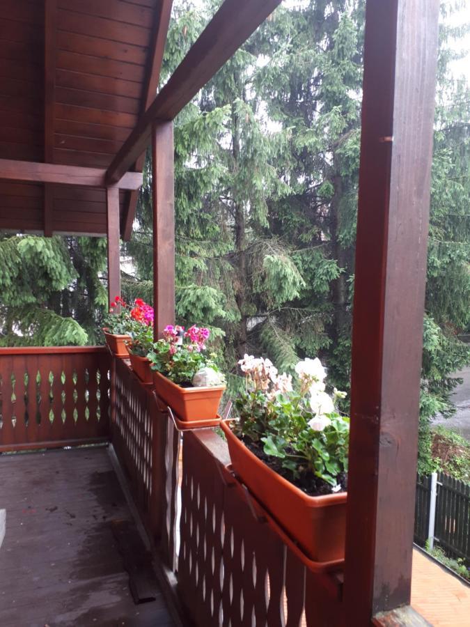 Willa Family House Buşteni Zewnętrze zdjęcie
