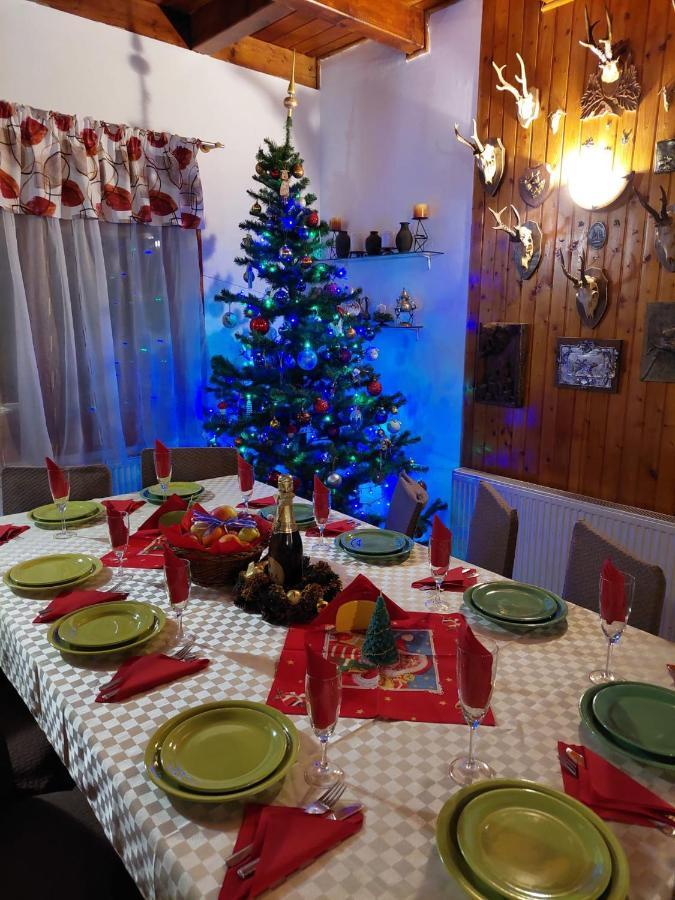 Willa Family House Buşteni Zewnętrze zdjęcie