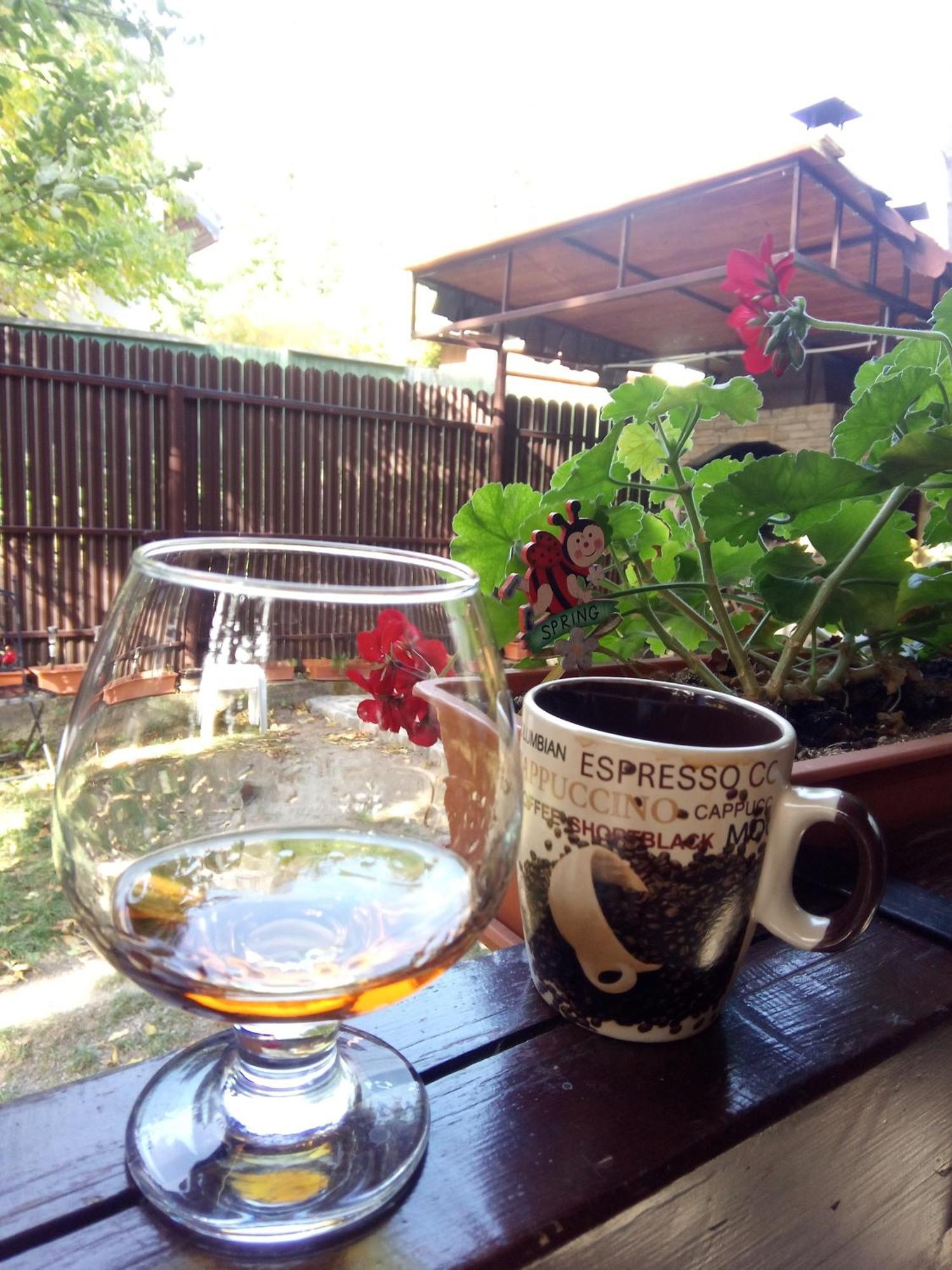 Willa Family House Buşteni Zewnętrze zdjęcie